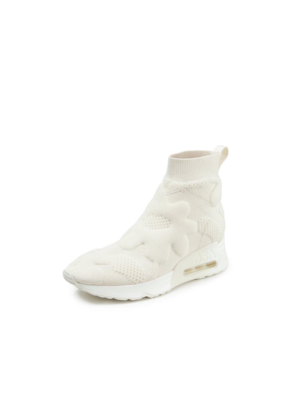 ASH - Stiefelette