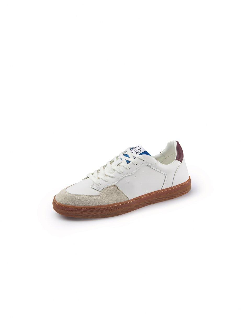 Sneakers Van Ted Baker wit