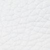 wit-302683