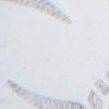 Silber-302983