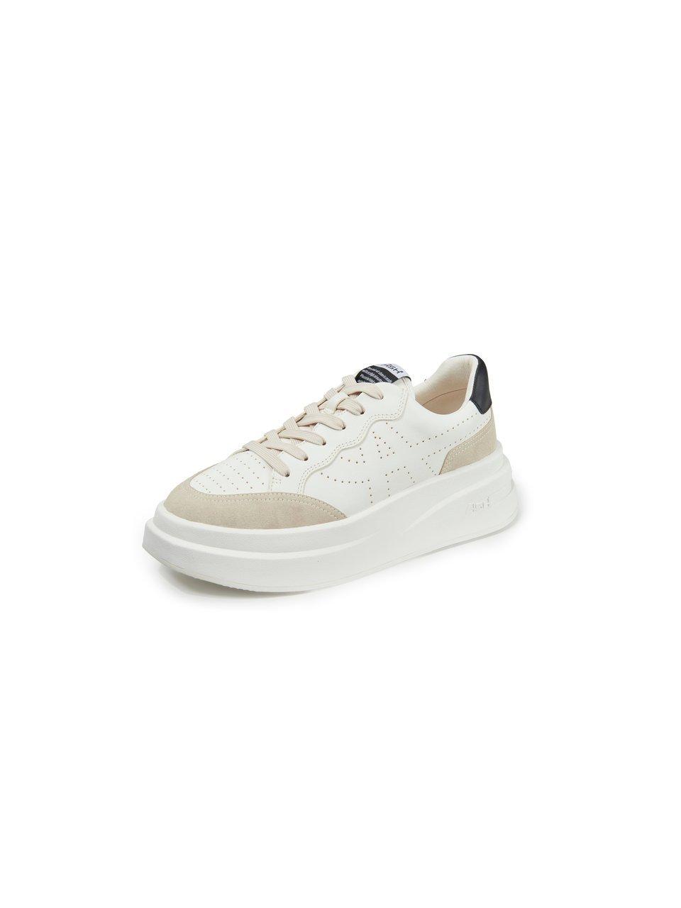 ASH - Sneaker