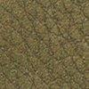 Khaki-304925
