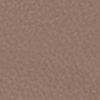 Taupe-305647