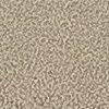 Taupe-306490