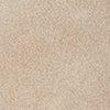 Taupe-306957