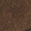 bruin-307345
