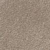 taupe-307557