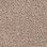 Taupe-307864