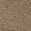 Taupe-307936
