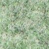 Minze-307961