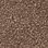 Taupe-307969