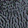 Schwarz-308019