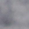 gris clair-312804