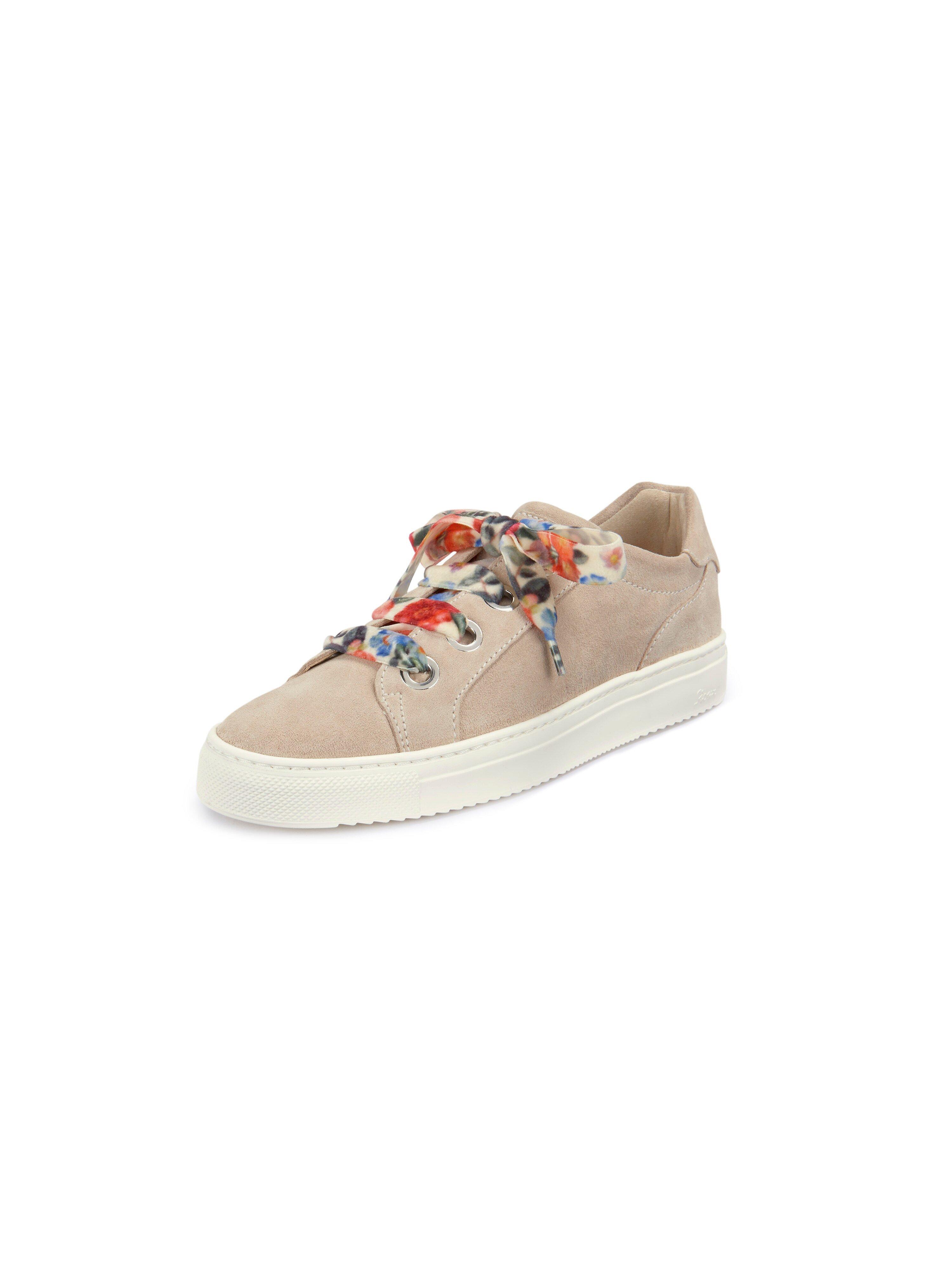 Sioux - Sneaker Purvesia