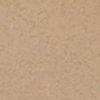Beige-343585
