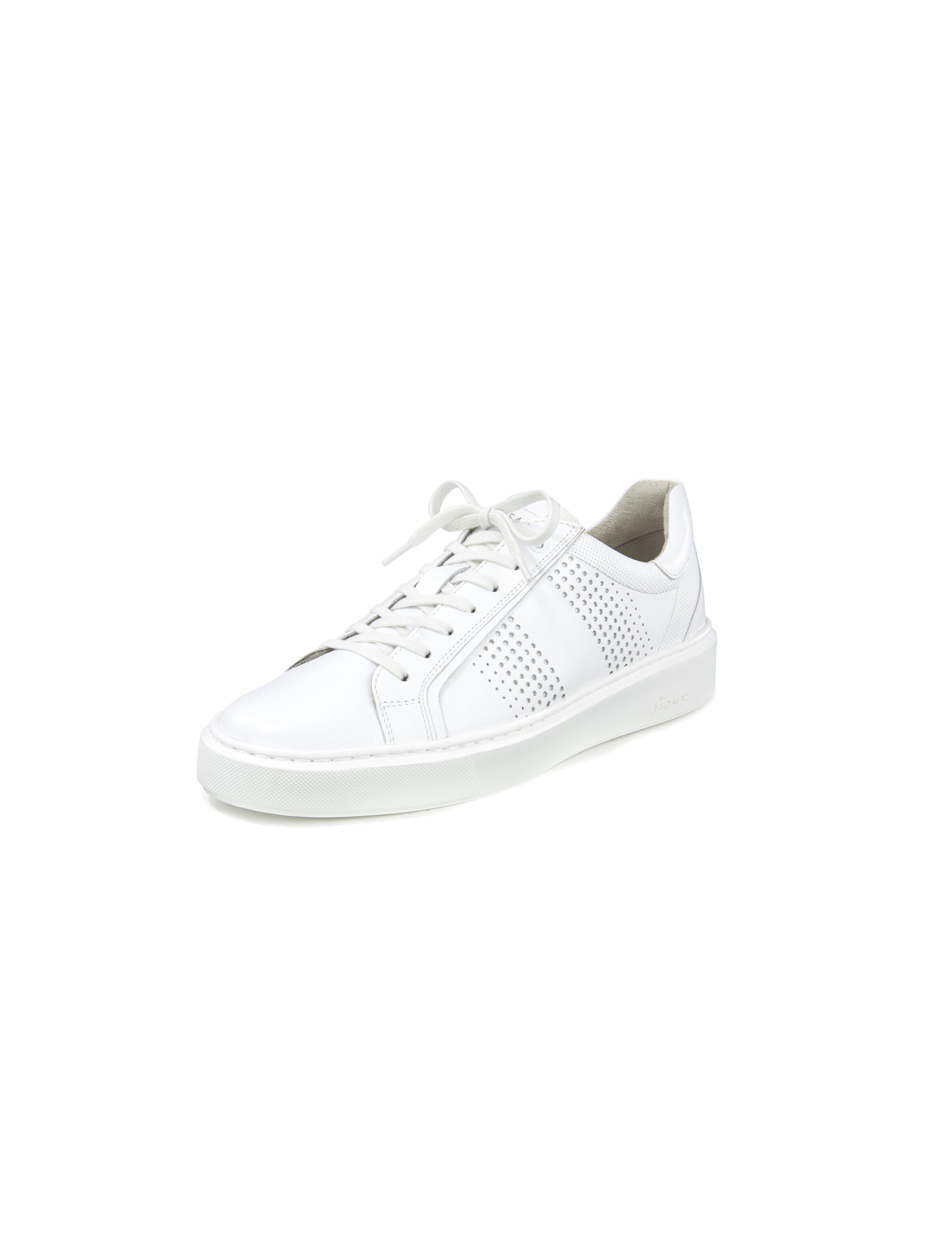 Sioux - Sneaker