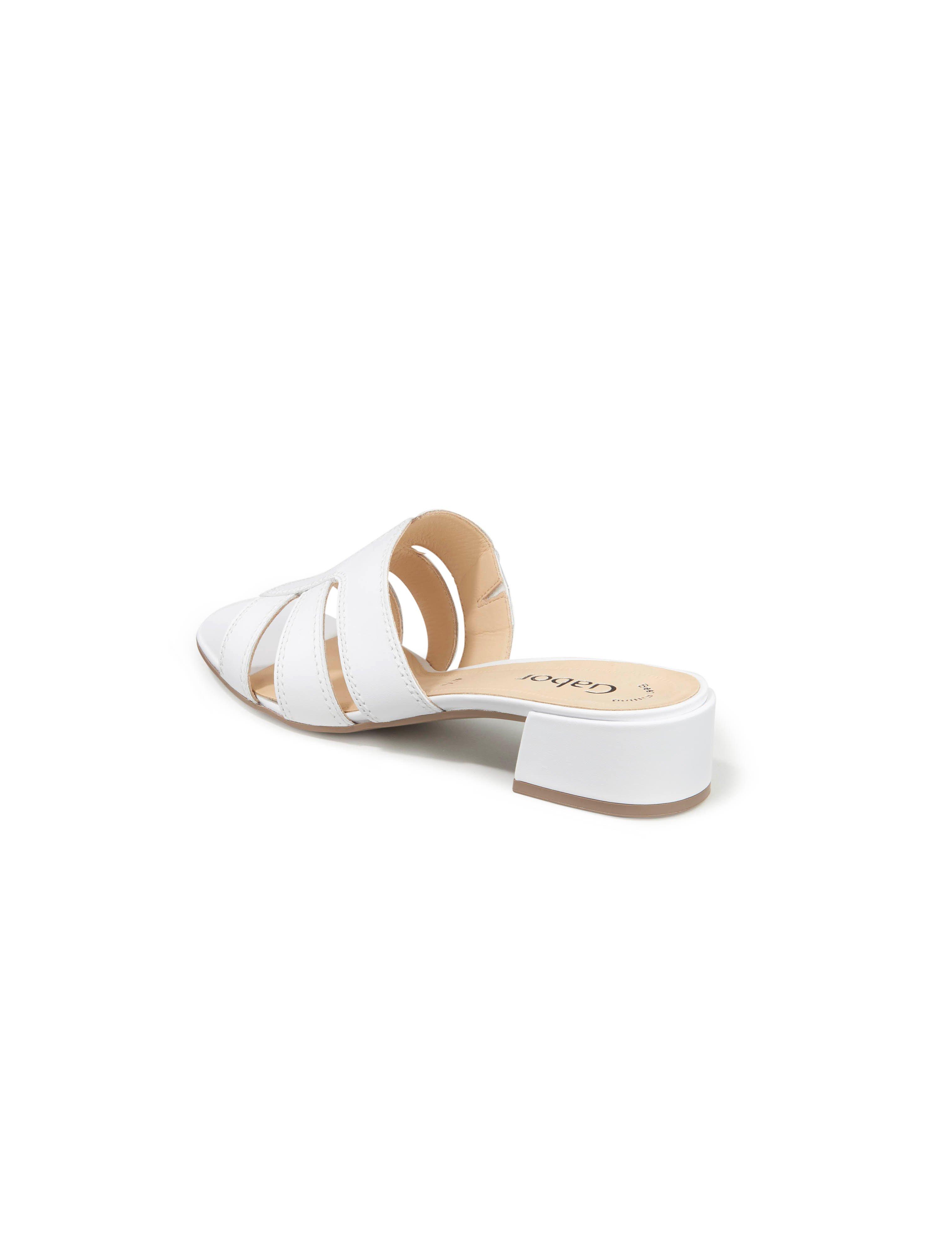 mules gabor homme
