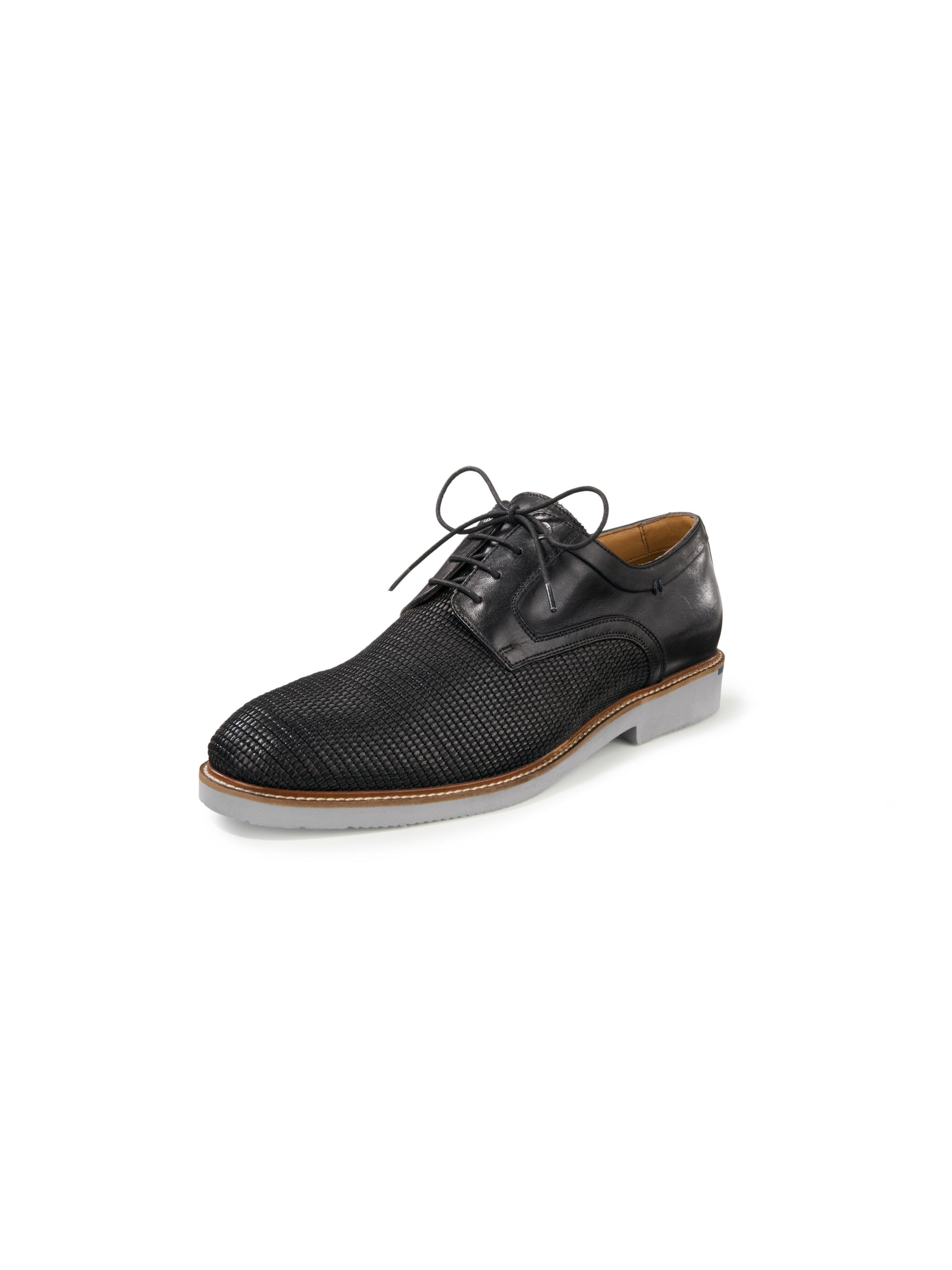 derbies salamander