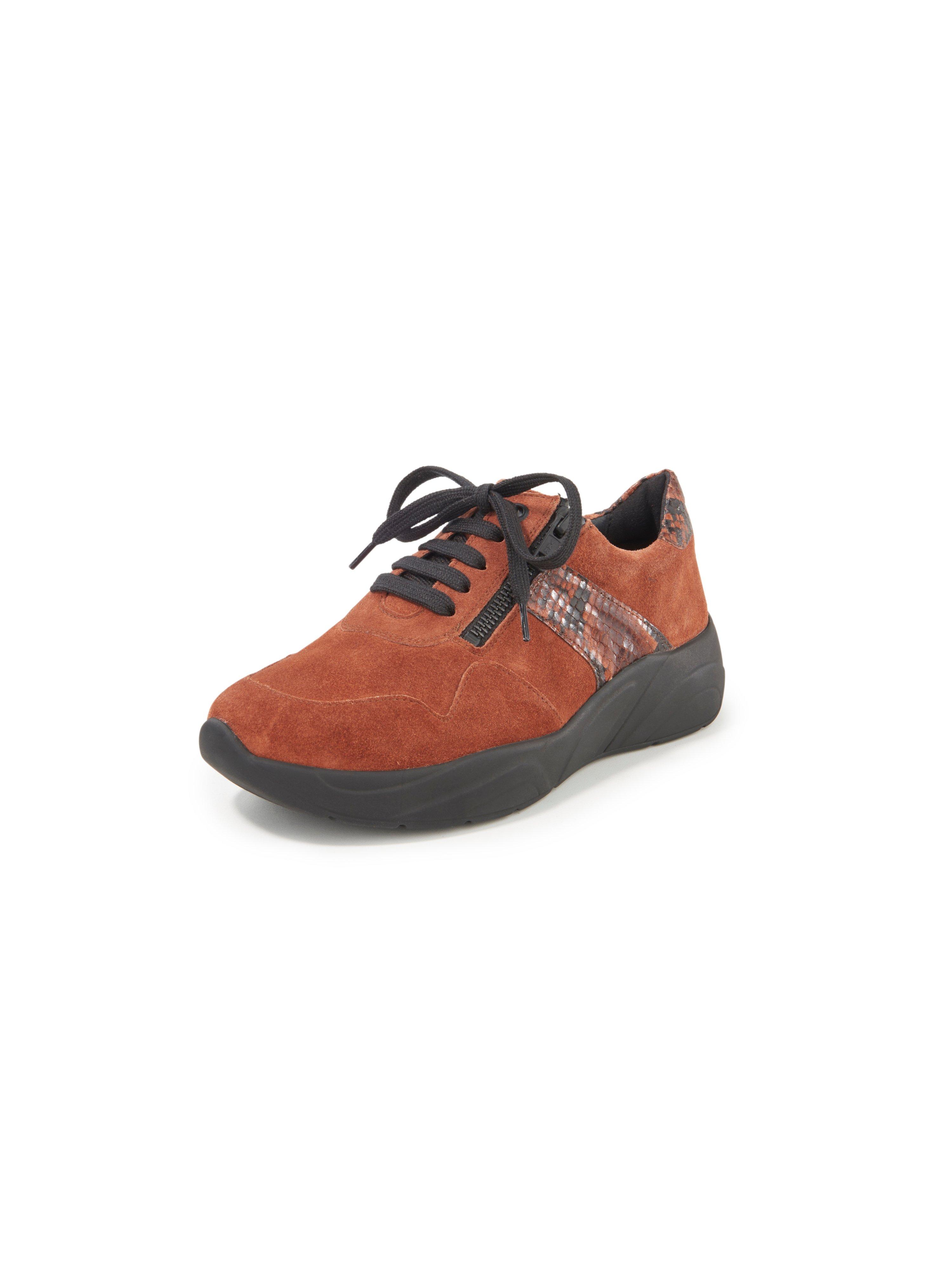 Solidus - Sneaker Kea