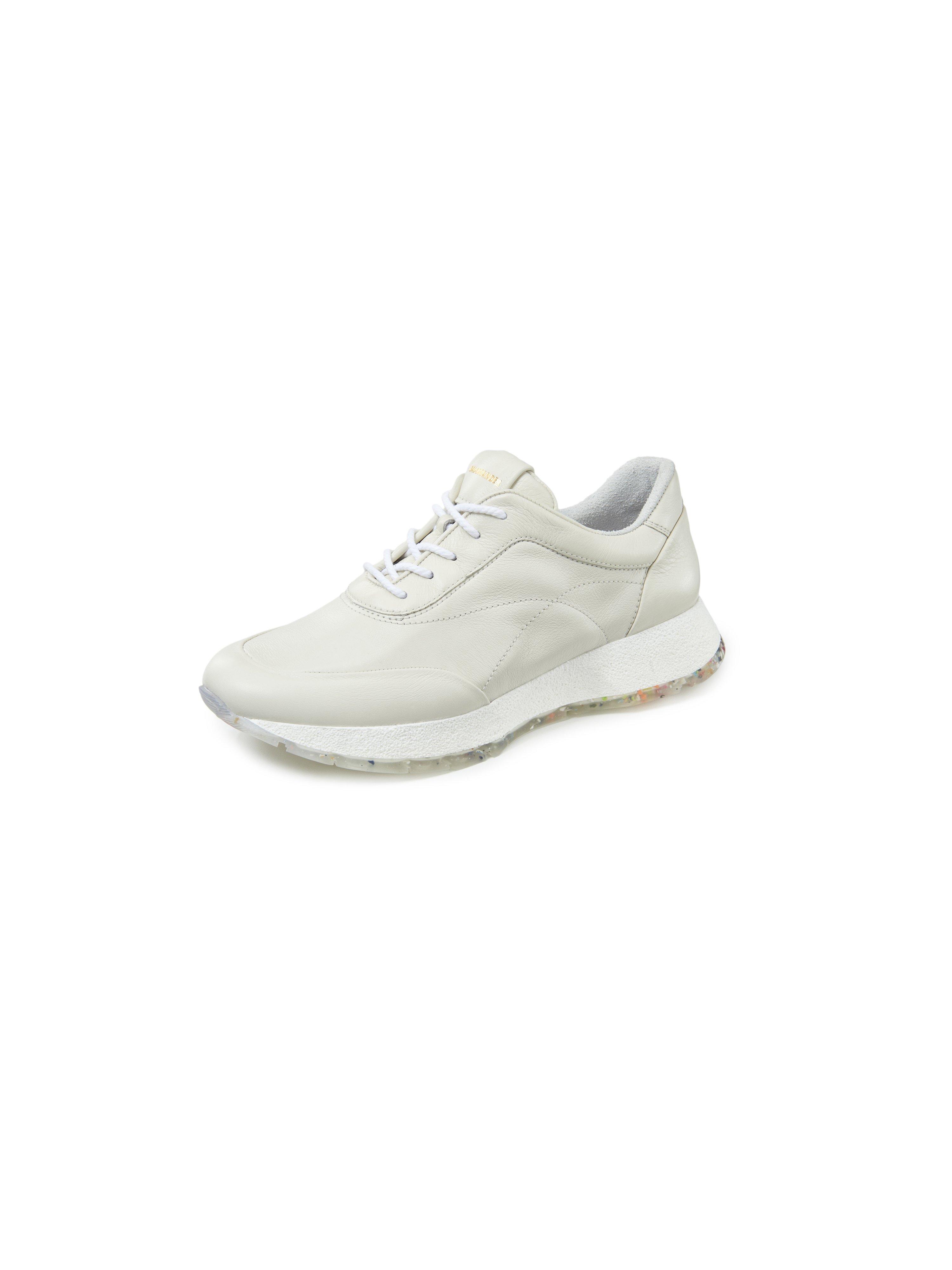 Sneakers Burlina Van Salamander beige