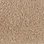 Taupe-359672