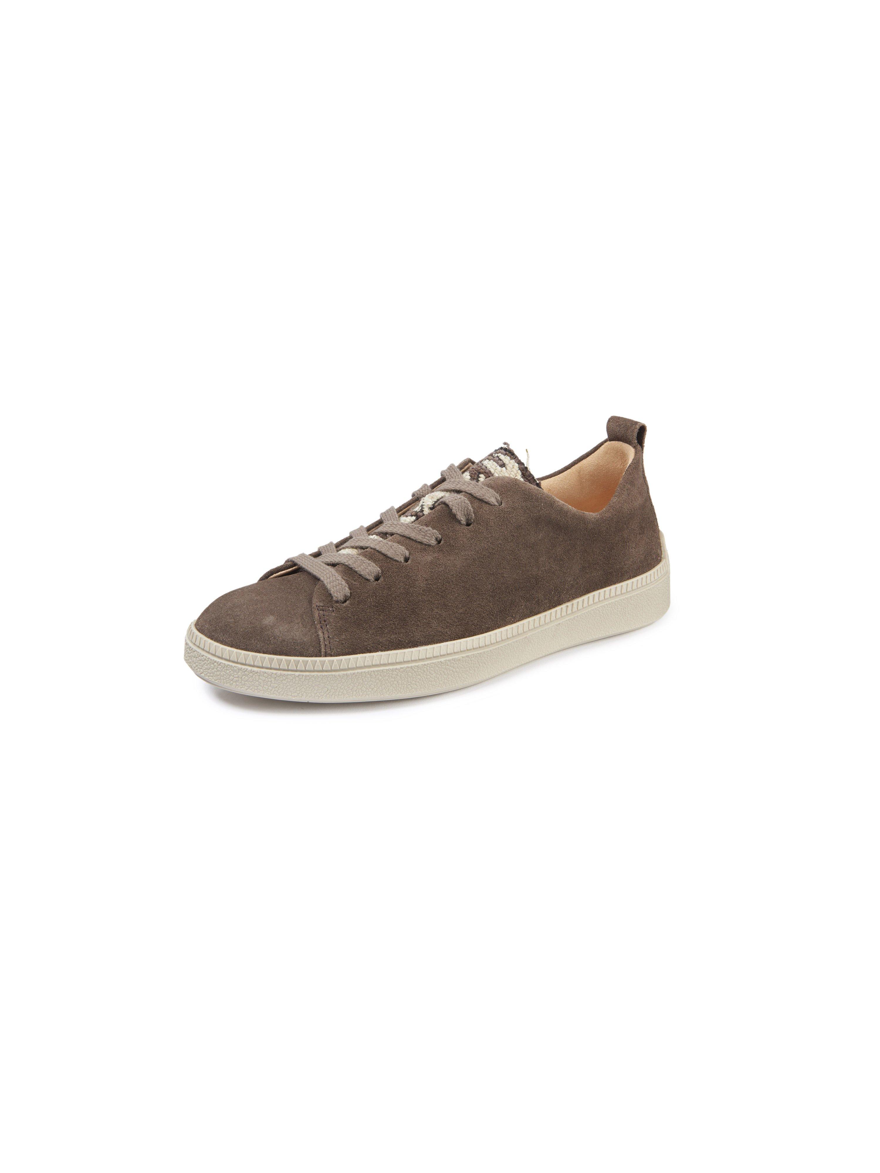 Think! - Sneaker Turna