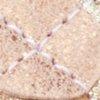 blanc/or rose-365729