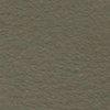 Khaki-368434