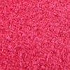 Fuchsia-379339