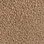 Taupe-379420