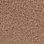 Taupe-385534