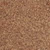 noisette-386030
