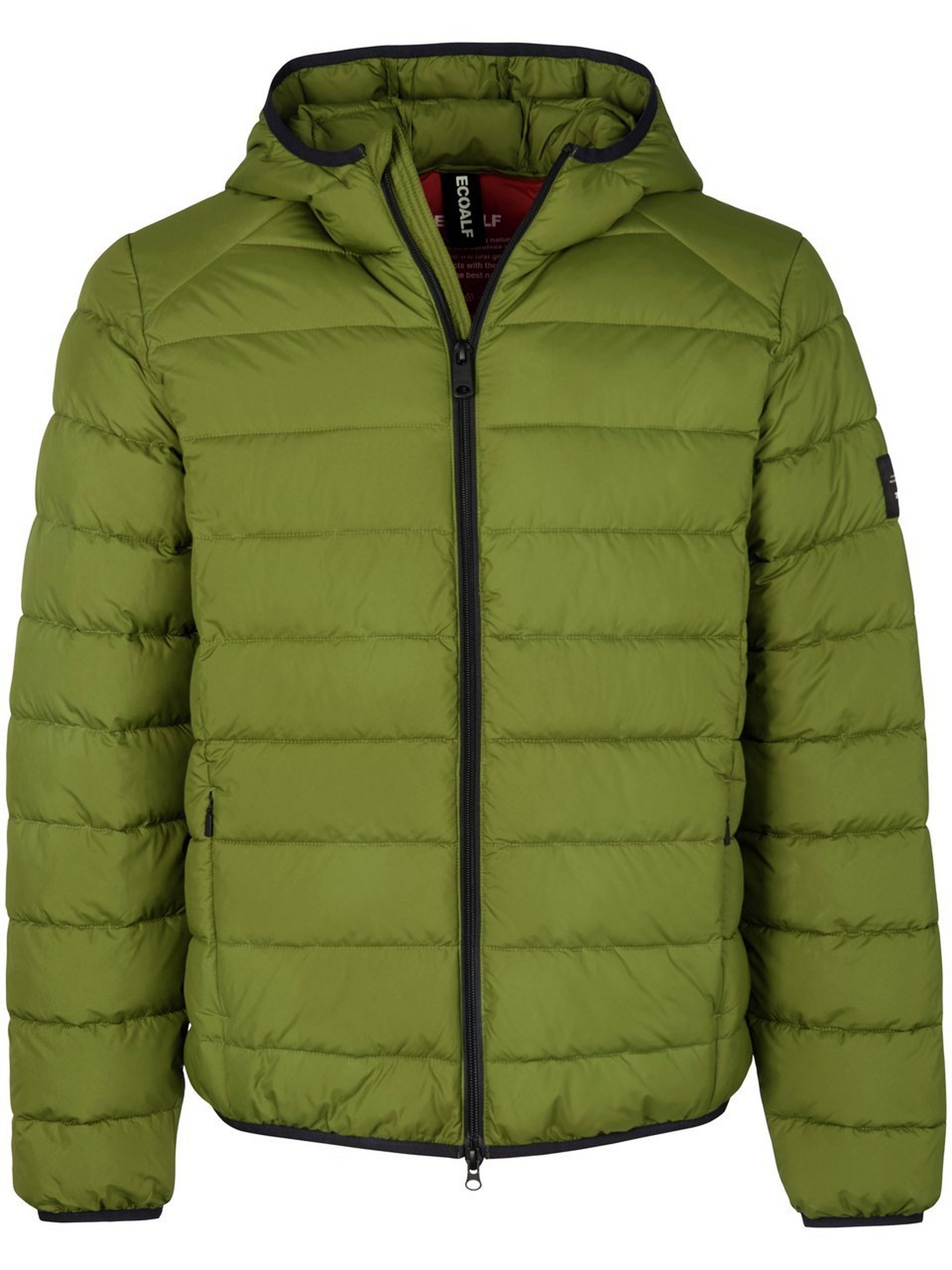 Gewatteerde jas Van Ecoalf groen
