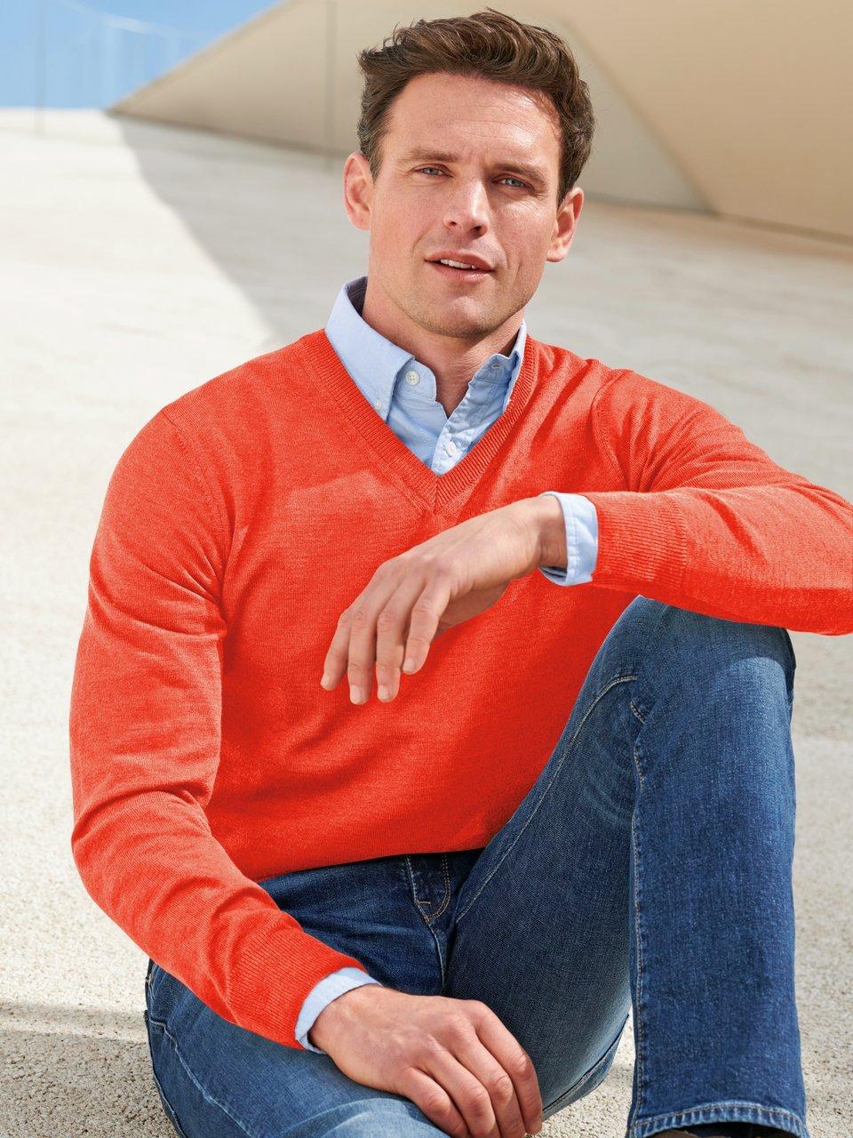 Peter Hahn - Le pull 100% laine vierge