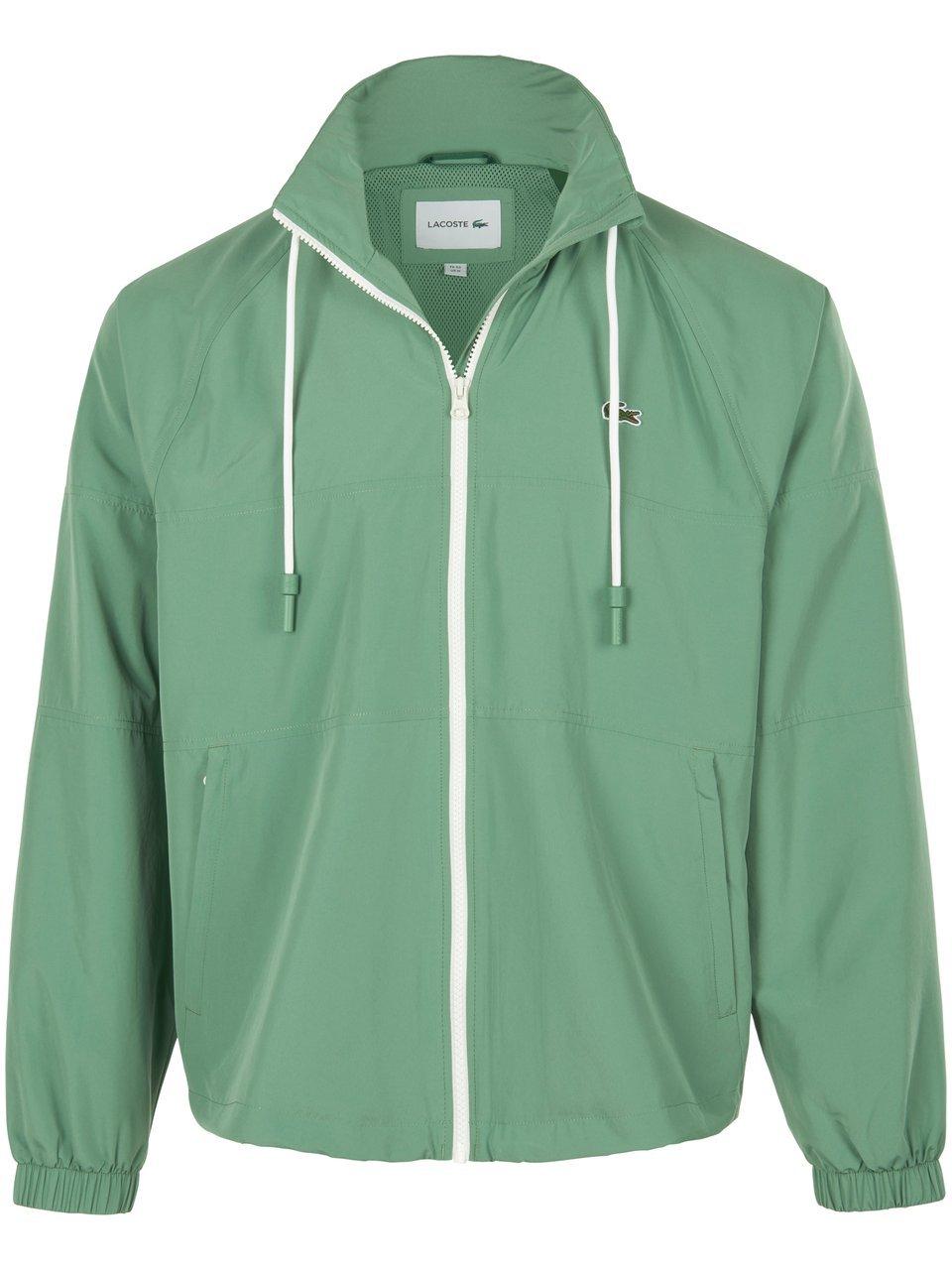 Jas capuchon Van Lacoste groen