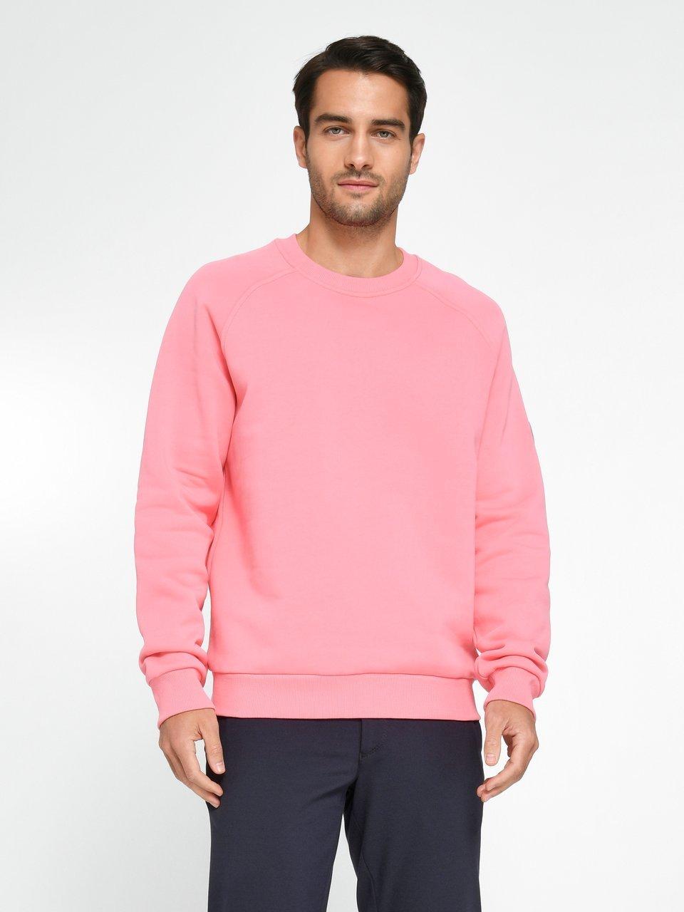 Louis Sayn - Sweatshirt van 100% katoen met raglanmouwen