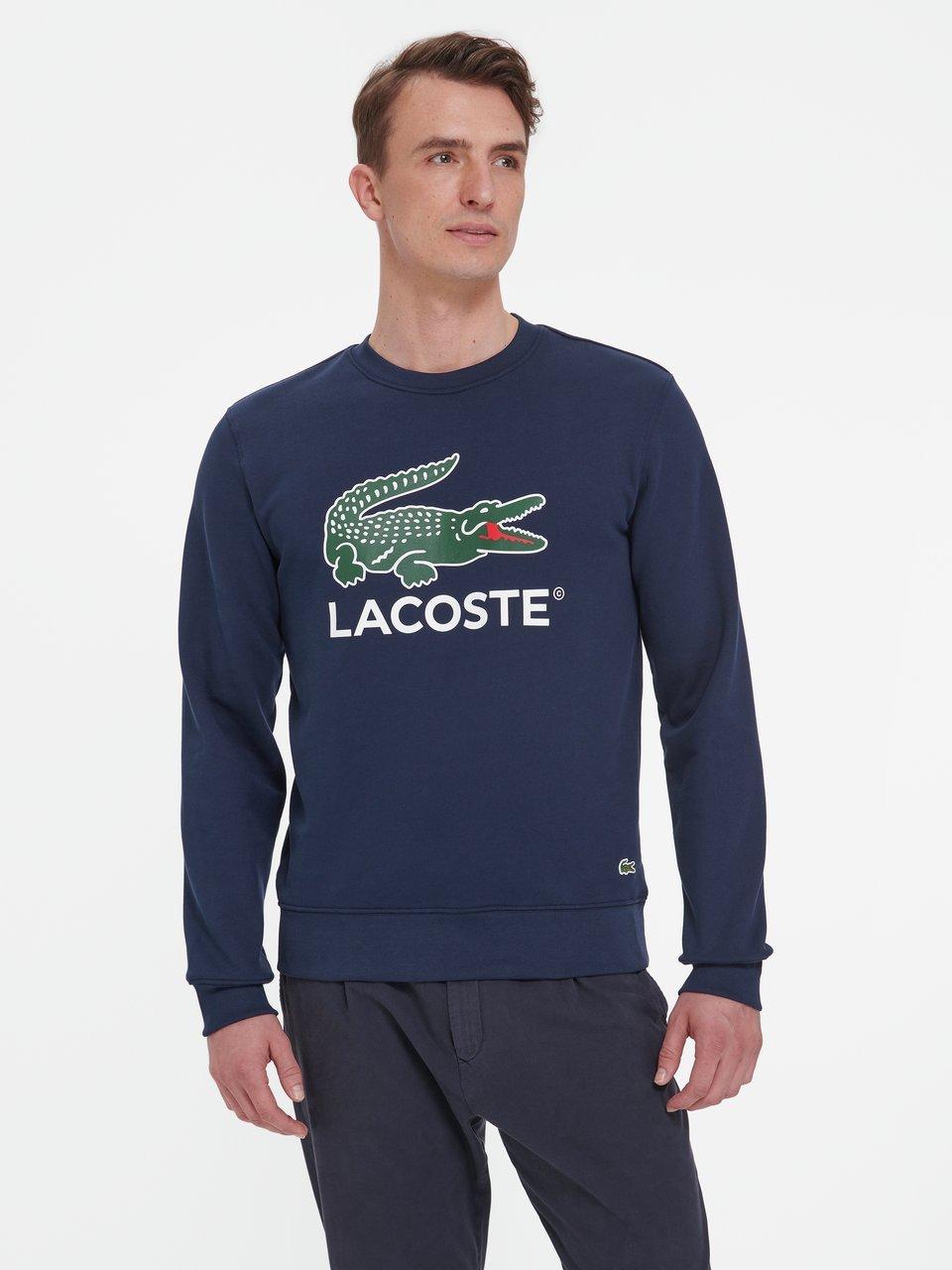 lacoste crew neck sweatshirt navy