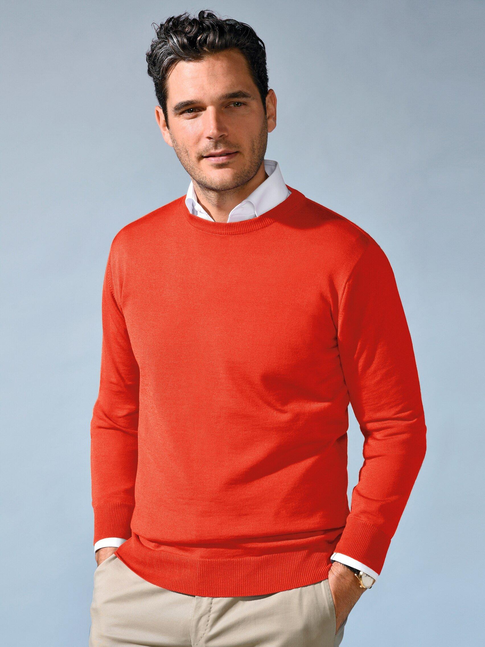 Peter Hahn - Pullover aus 100% Schurwolle-Merino