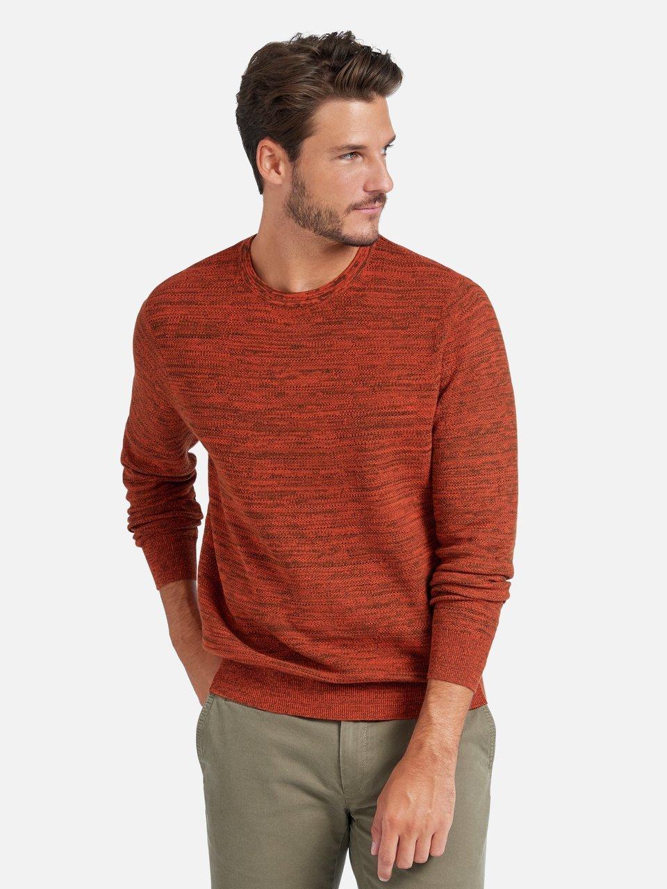 Louis Sayn - Pullover
