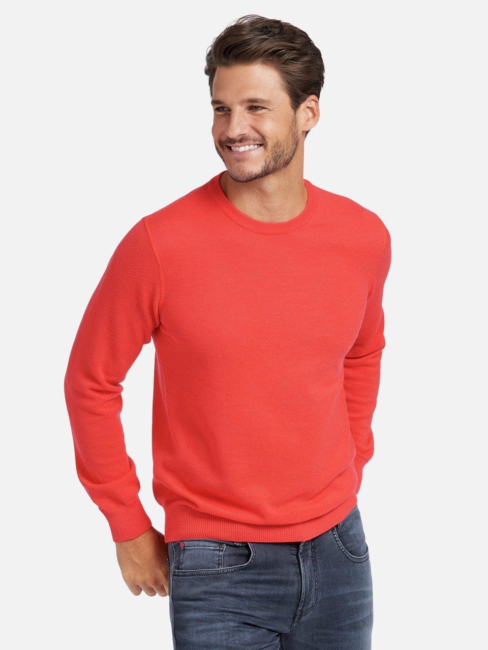 Louis Sayn - Rundhals-Pullover aus 100% Schurwolle