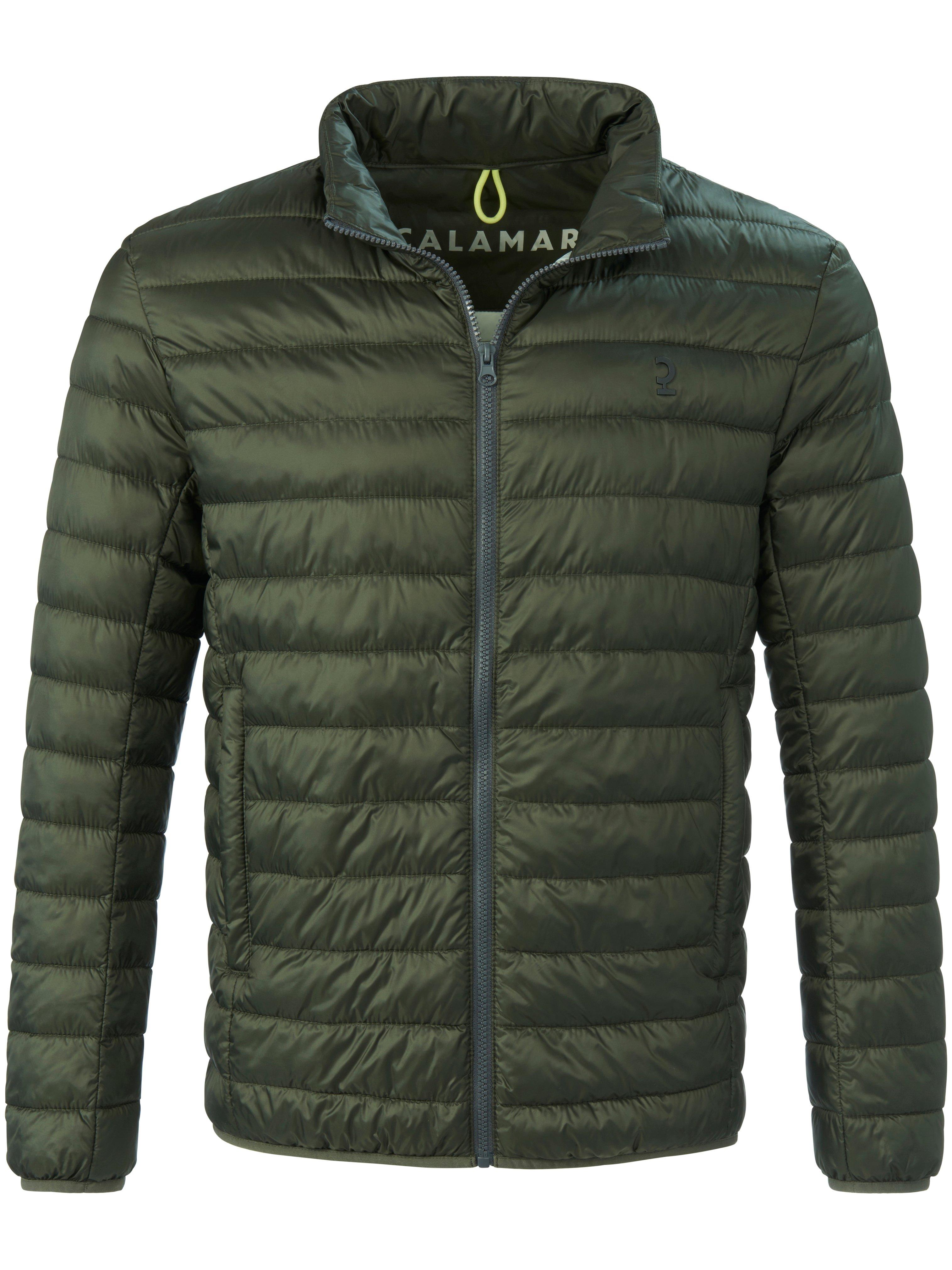 Quilted jacket CALAMAR green