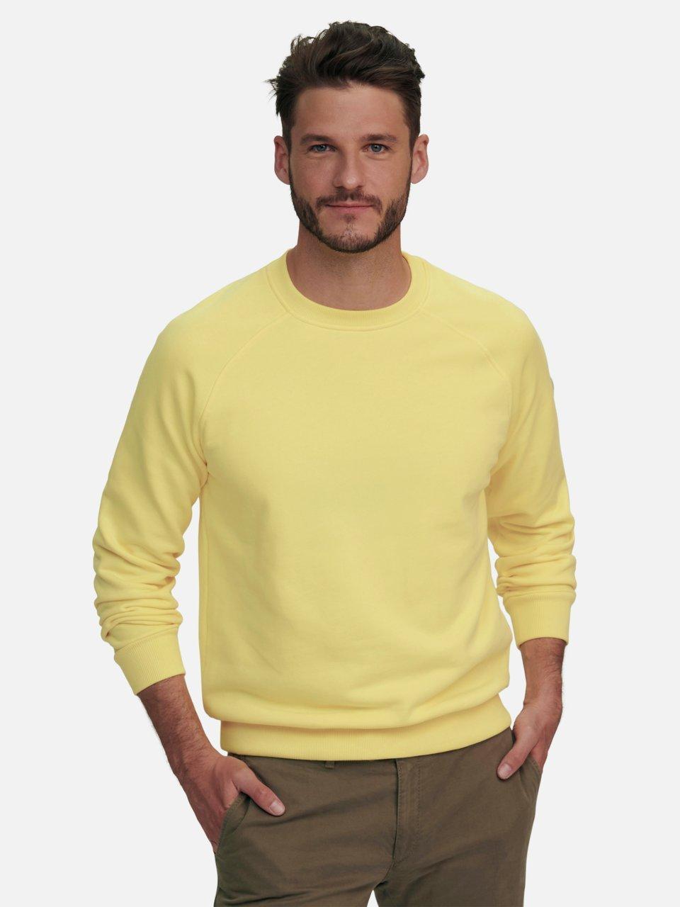 Louis Sayn - Sweatshirt van 100% katoen met raglanmouwen