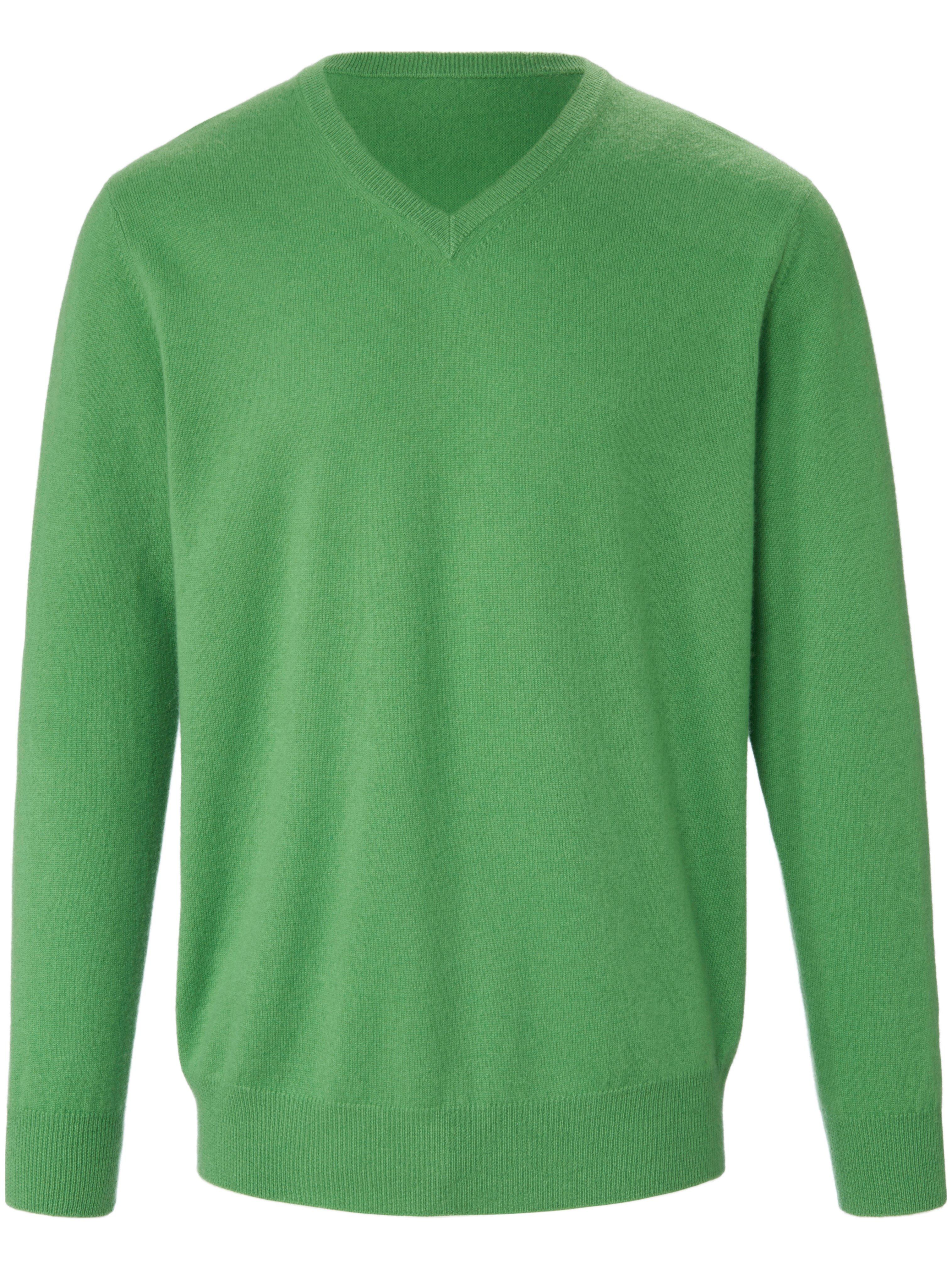 Trui V-hals 100% premium-kasjmier Van Peter Hahn Cashmere groen