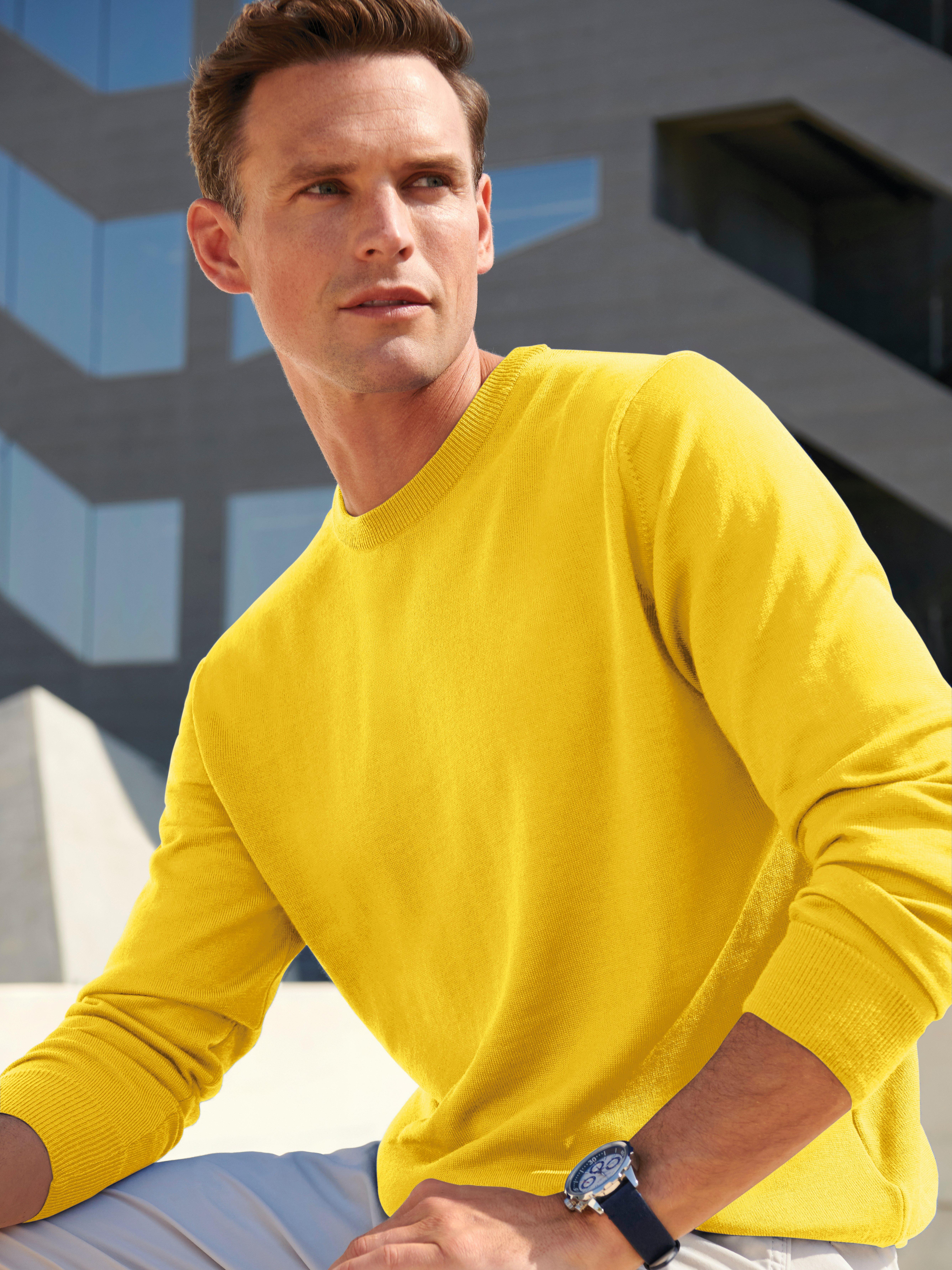 Peter Hahn - Pullover aus 100% Schurwolle-Merino