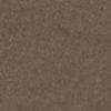 Khaki-441058