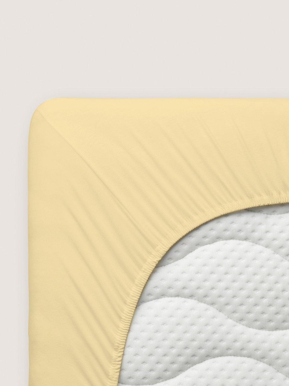 Elastik-Feinjersey-Spannbetttuch Pure Schlafgut gelb günstig online kaufen