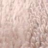 Taupe-513989