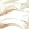 champagne-514821