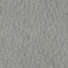 Salbei-534092