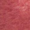 Natur/Koralle-534644